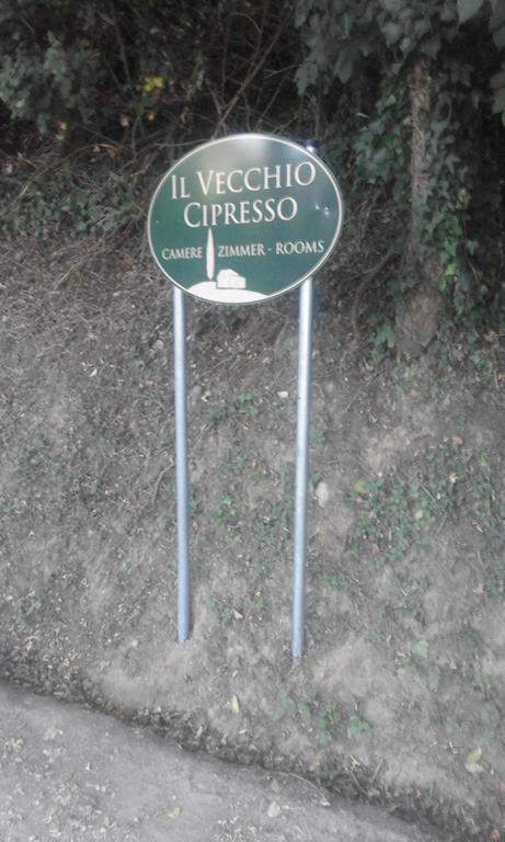 Apartmán Il Vecchio Cipresso San Gimignano Exteriér fotografie